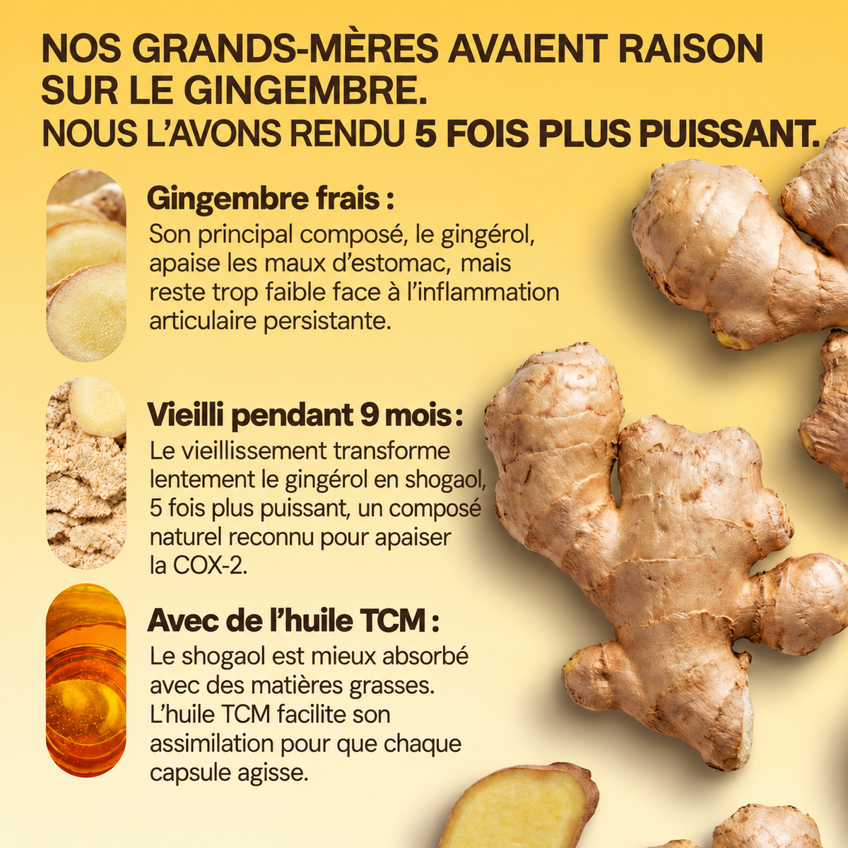Gélules de gingembre vieilli Floris