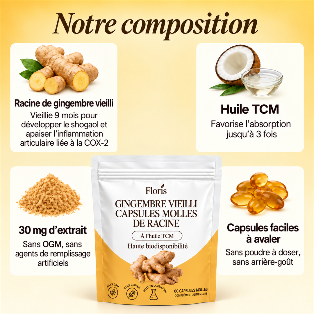 Gélules de gingembre vieilli Floris